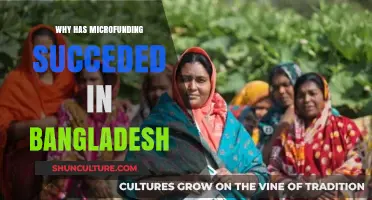Microfunding's Success in Bangladesh: Key Factors Driving Economic Empowerment