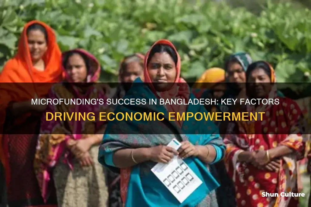 why has microfunding succeded in bangladesh