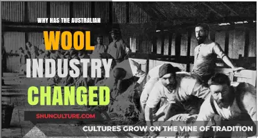 Australian Wool Industry: Evolution and Adaptations