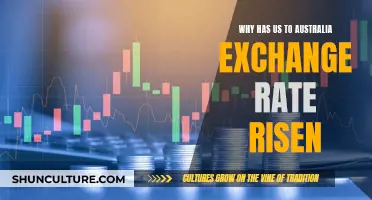 US-Australia Exchange Rate: Why the Recent Rise?