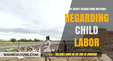 Bosnia's Child Labor Crisis: Lack of Action and Consequences
