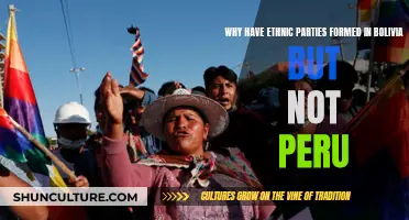 Ethnic Parties in Bolivia: What About Peru?