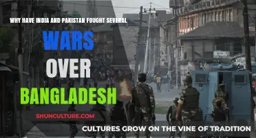 India-Pakistan Wars: The Complex Role of Bangladesh Explained