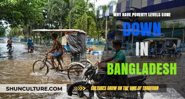 Bangladesh's Poverty Reduction: Key Factors Driving Economic Progress and Stability