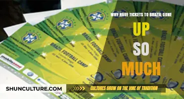 Brazil Ticket Prices Skyrocket: Unraveling the Surge in Travel Costs