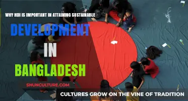 HDI's Role in Bangladesh's Sustainable Development Journey