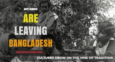 Bangladesh's Hindu Exodus: Persecution, Migration, and a Community's Struggle