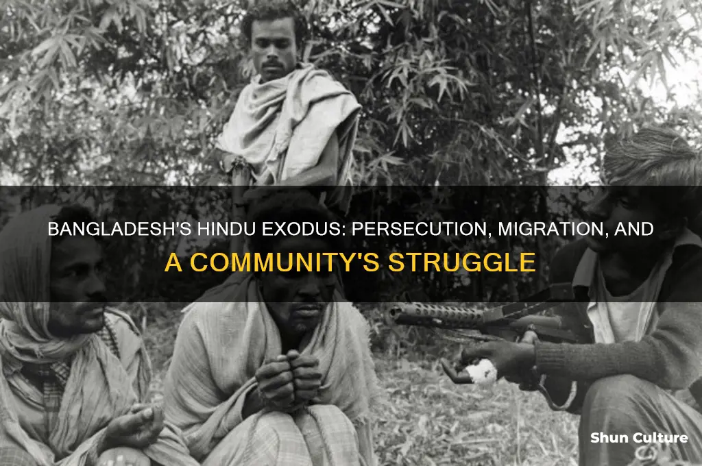 why hindus are leaving bangladesh