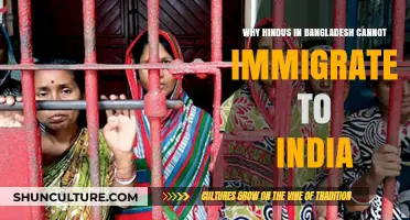 Struggles of Bangladeshi Hindus: Barriers to Immigration to India