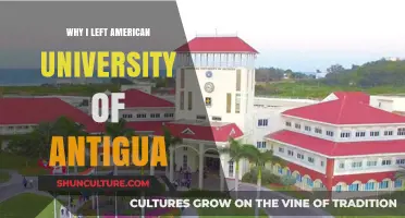 Why I Left American University of Antigua: My Honest Experience