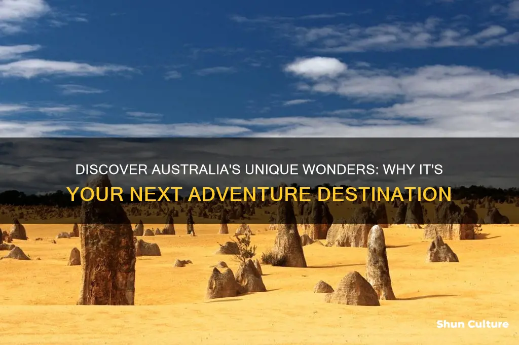 why I should go to australia