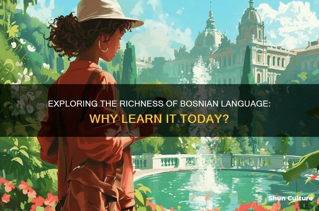 why in bosnian