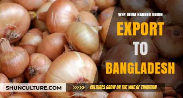 India's Onion Export Ban to Bangladesh: Causes and Consequences