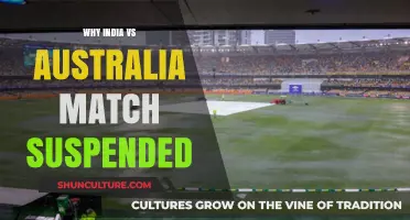 India-Australia Match Suspended: What's the Real Reason?