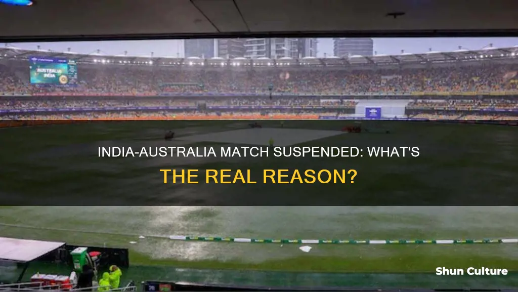 why india vs australia match suspended