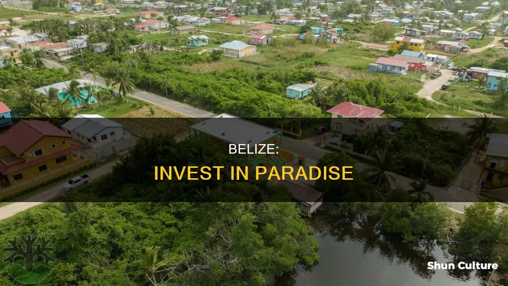 why invest in belize