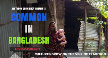 Iron Deficiency Anemia in Bangladesh: Causes, Impact, and Solutions