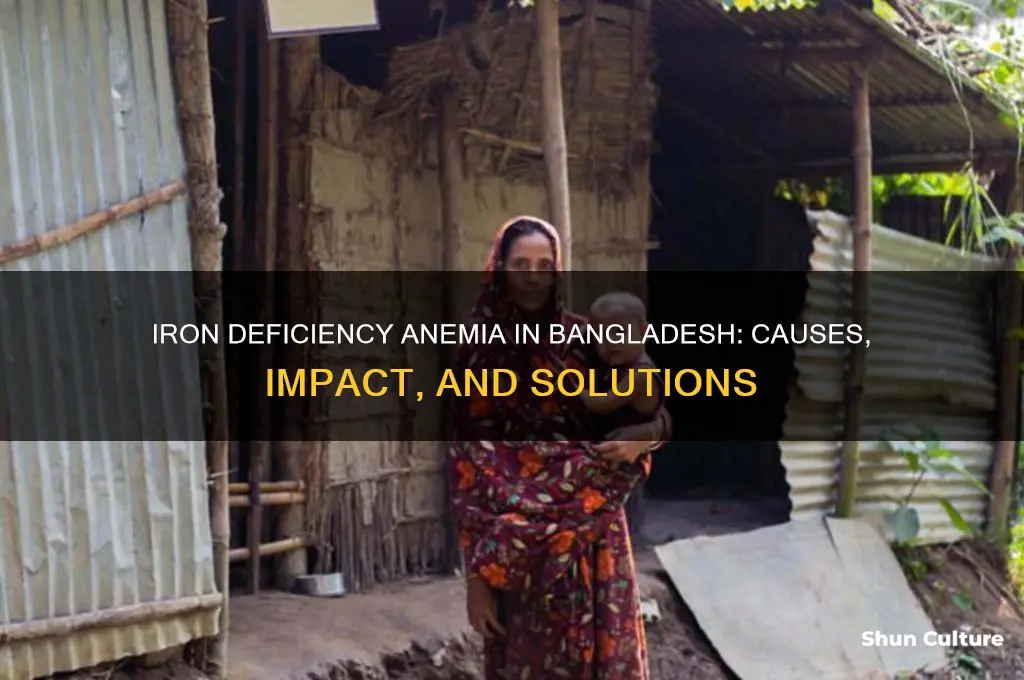 why iron deficiency anemia is common in bangladesh