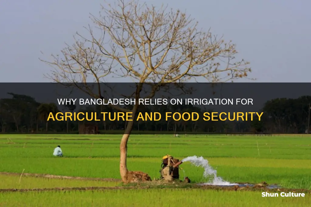why irrigation is needed in bangladesh