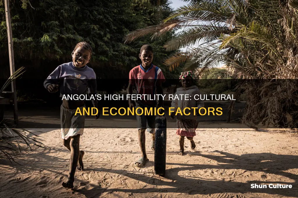 why is angola fertility rate so high