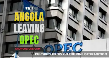 Angola's Exit from OPEC: Economic Diversification Strategy