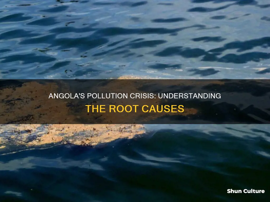 why is angola polluted