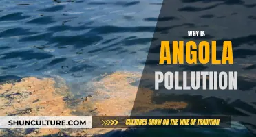 Angola's Pollution Problem: Causes and Impacts