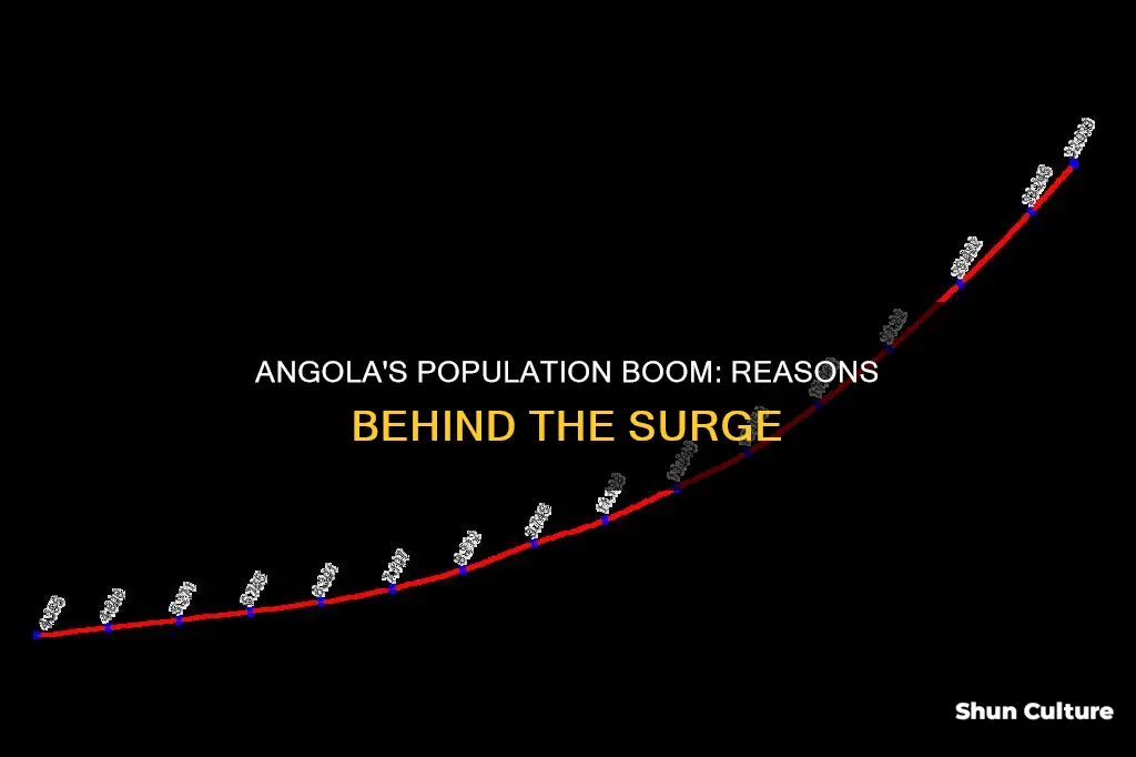 why is angola population increasing