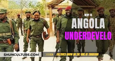 Angola's Underdevelopment: A Complex Historical Legacy