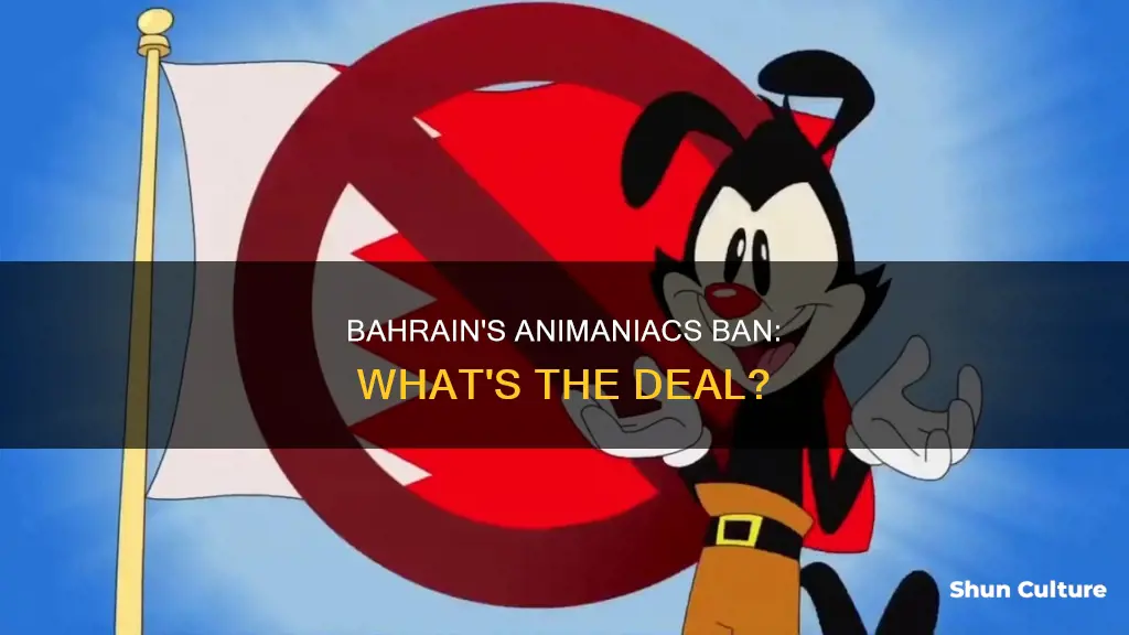 why is animaniacs illegal in bahrain