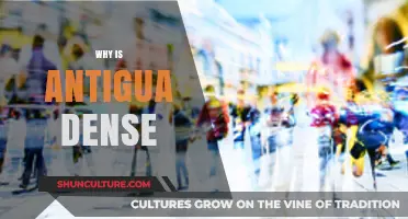 Exploring Antigua's Dense Population and Urban Development Factors