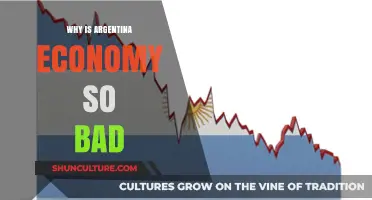 Understanding Argentina's Economic Struggles: A Comprehensive Analysis