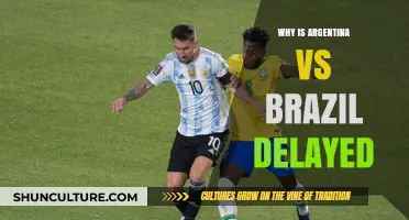 Argentina vs Brazil Delayed: Unraveling the Reasons Behind the Postponement
