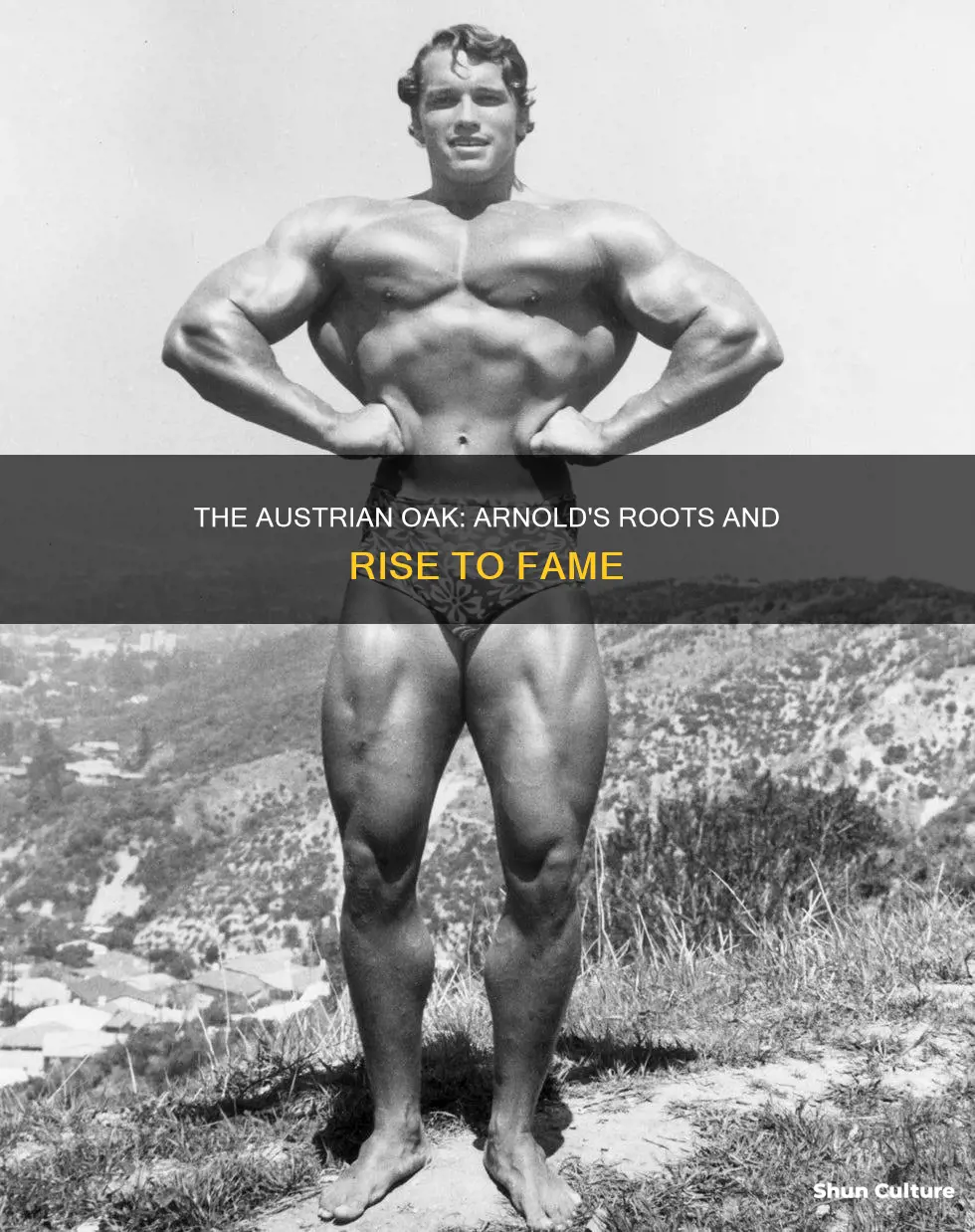 why is arnold called the austrian oak