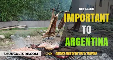 Savoring Tradition: The Cultural Significance of Asado in Argentina