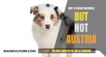 Down Under's Unique Name: Aussie Australia, Not Austria