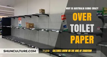 Australia's Toilet Paper Frenzy: Unraveling the Panic Buying Phenomenon