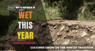 Unusual Downpours: Understanding Australia's Record-Breaking Wet Weather in 2023