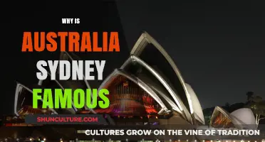 Sydney's Iconic Charm: What Makes Australia's Gem So Famous?