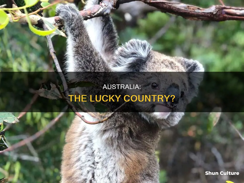 why is australia the lucky country essay