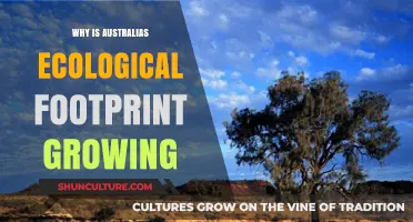 Australia's Ecological Footprint: Growing Impact, What's the Cause?