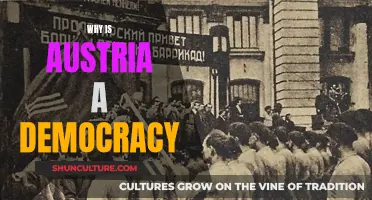 Austria's Democratic Journey: How and Why?