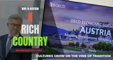 Austria's Wealth: Secrets of a Rich Country