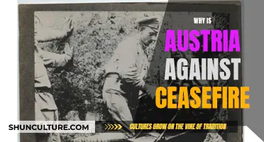 Austria's Opposition: Understanding Their Ceasefire Resistance