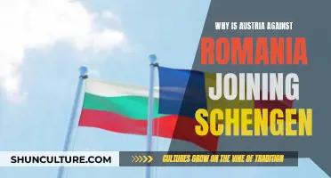Austria's Objections to Romania's Schengen Area Access