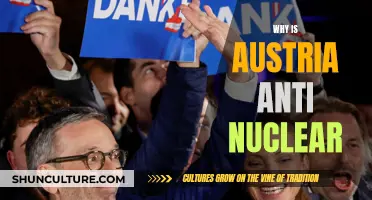 Austria's Anti-Nuclear Stance: Energy, Environment, and Economics