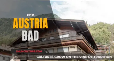 Austria's Dark Side: What Makes it Bad?