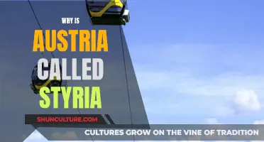 The Austrian Conundrum: Why Styria or Austria?