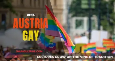 A Journey of Austrian Pride: Uncovering the LGBTQ+ Community's Rich History and Culture