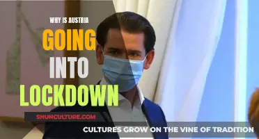 Austria's Lockdown: A Precautionary Move Against COVID-19